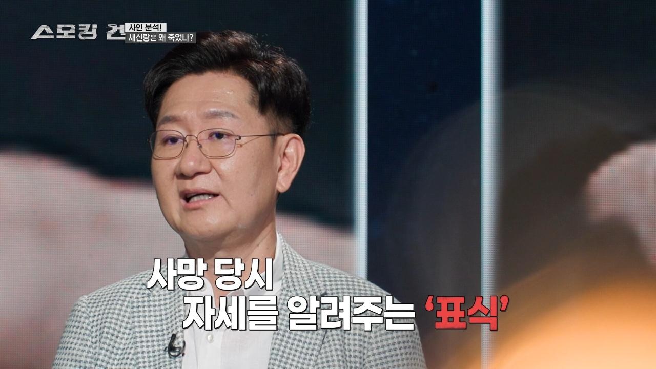 스모킹 건 : 155회
