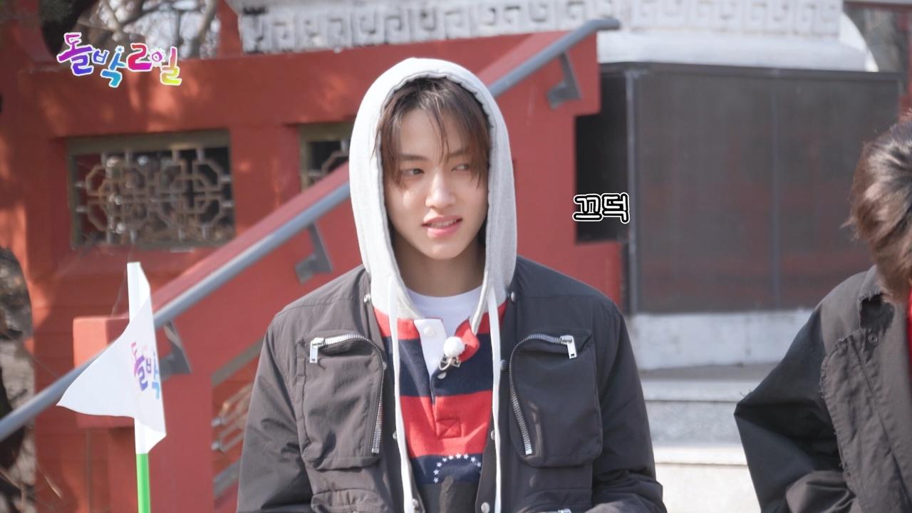 333회