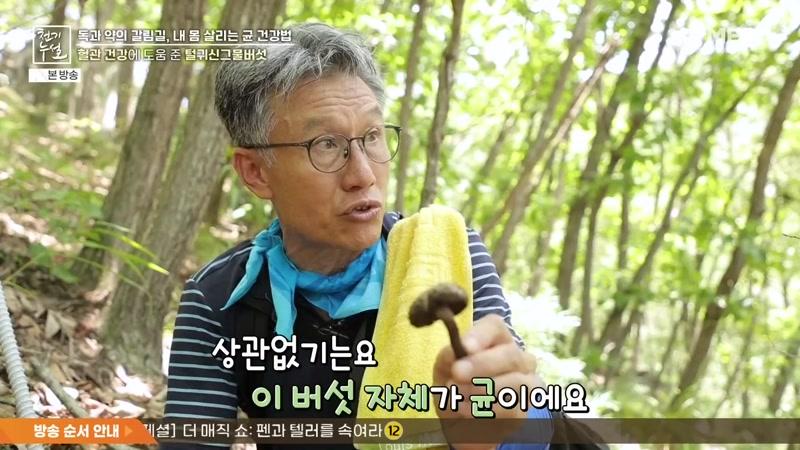 738회