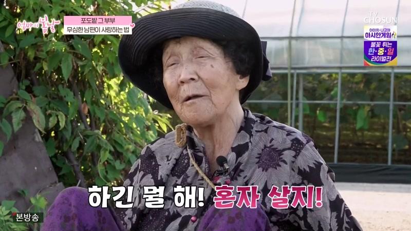 572회