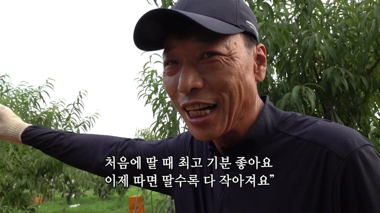 복사골 모녀 삼대 1부