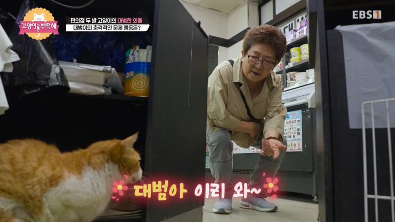 20260904회