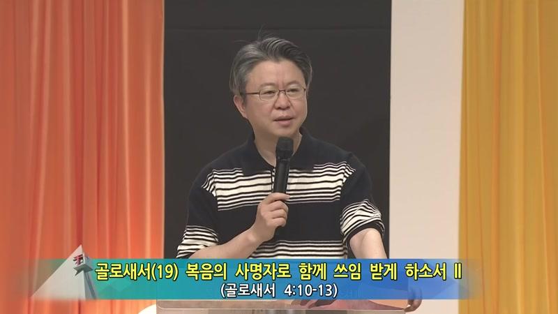597회