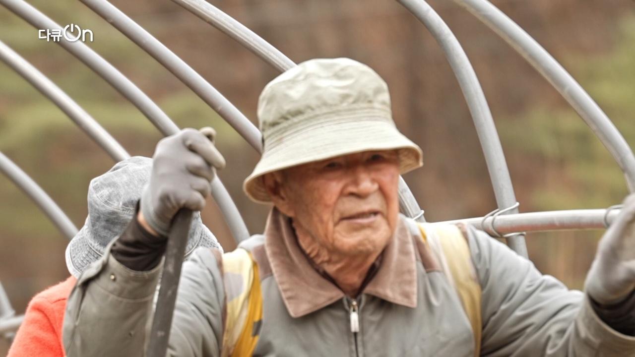 375회