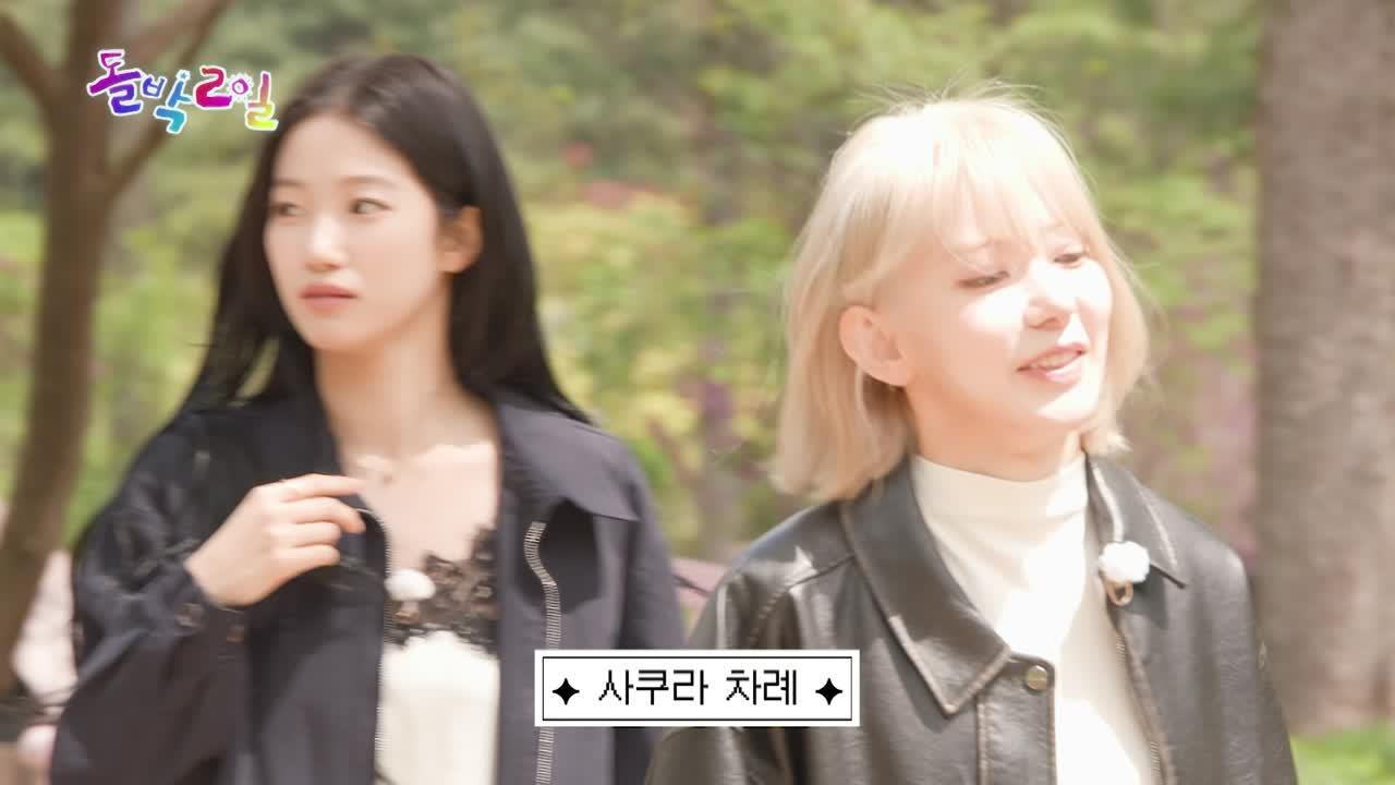 336회