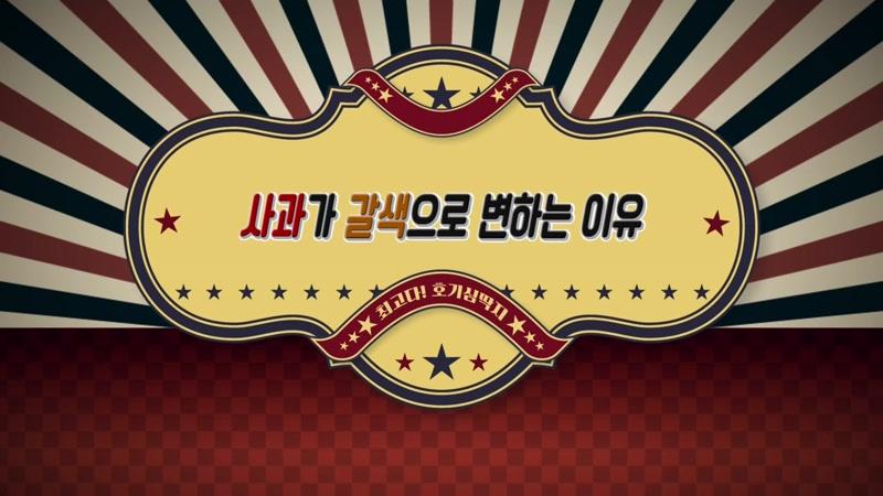 20260917회