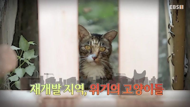 20260918회