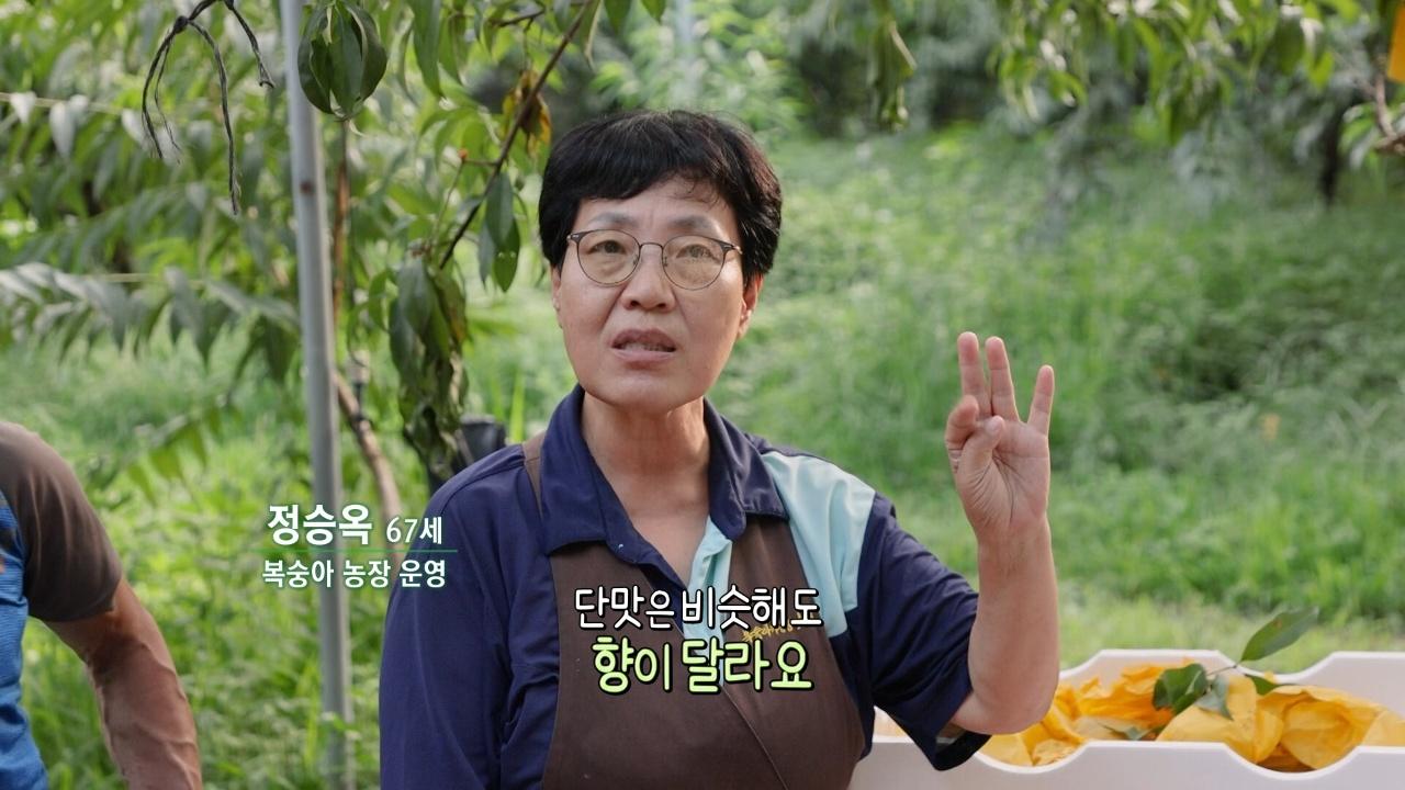 387회
