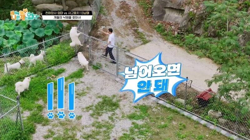천하장사 엄마 vs 사고뭉치 13남매