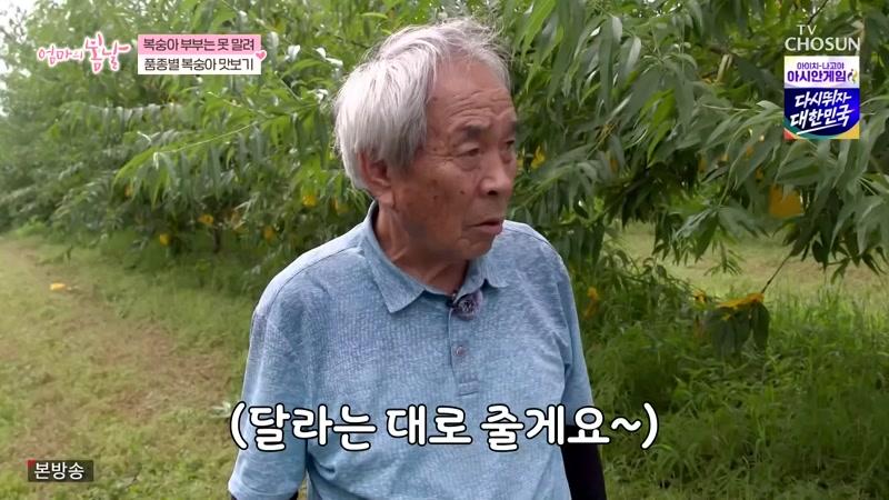 575회