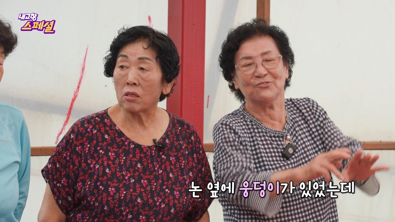 2294회