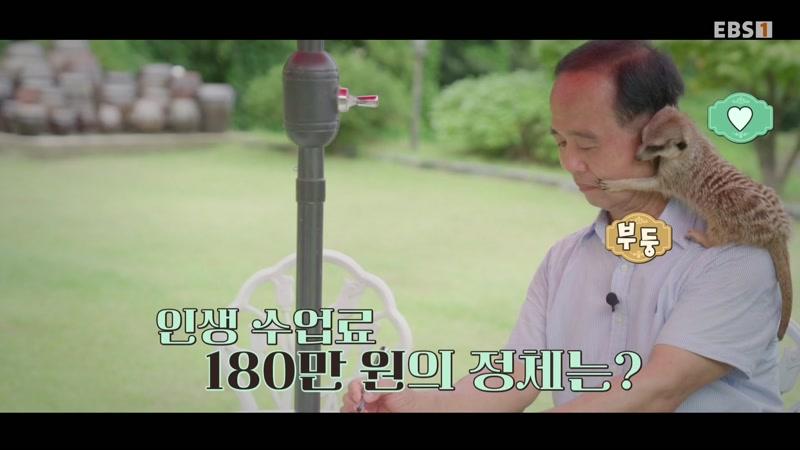 53회