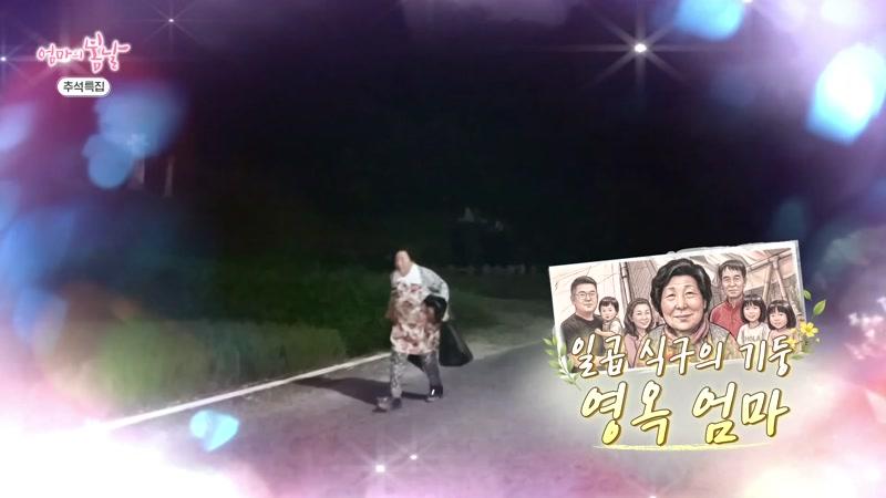 576회
