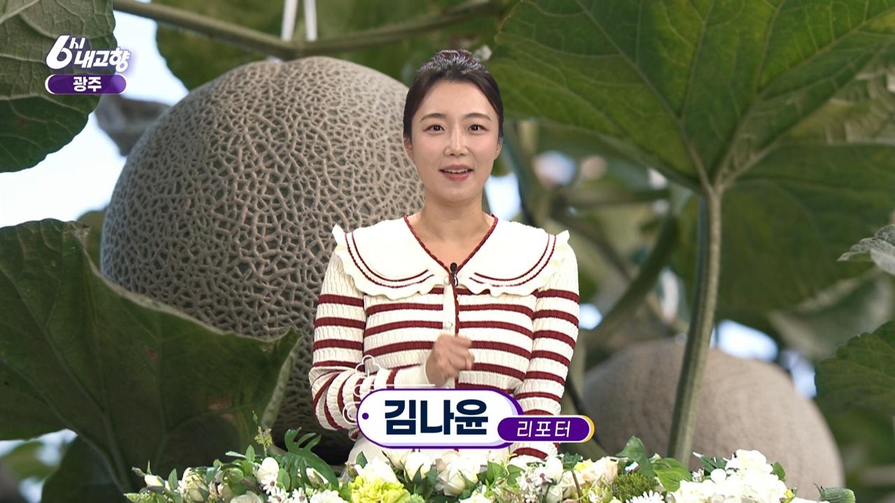 8629회