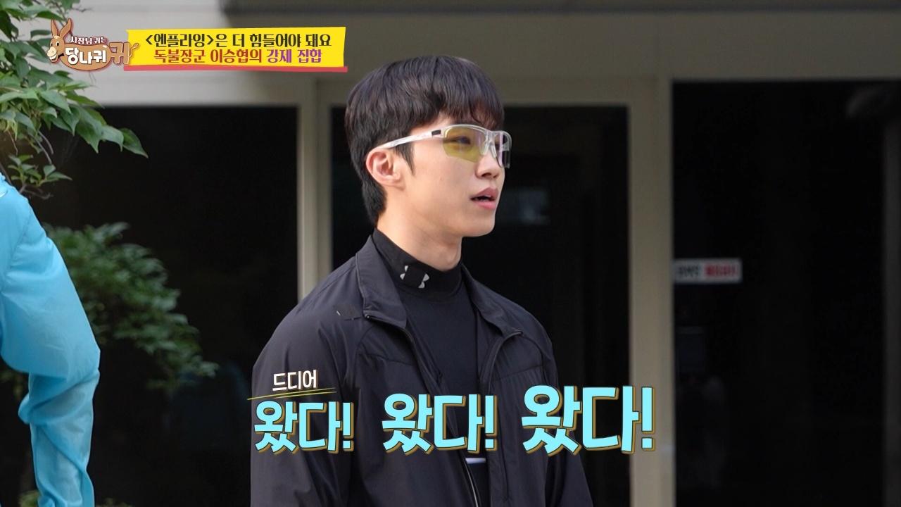 375회