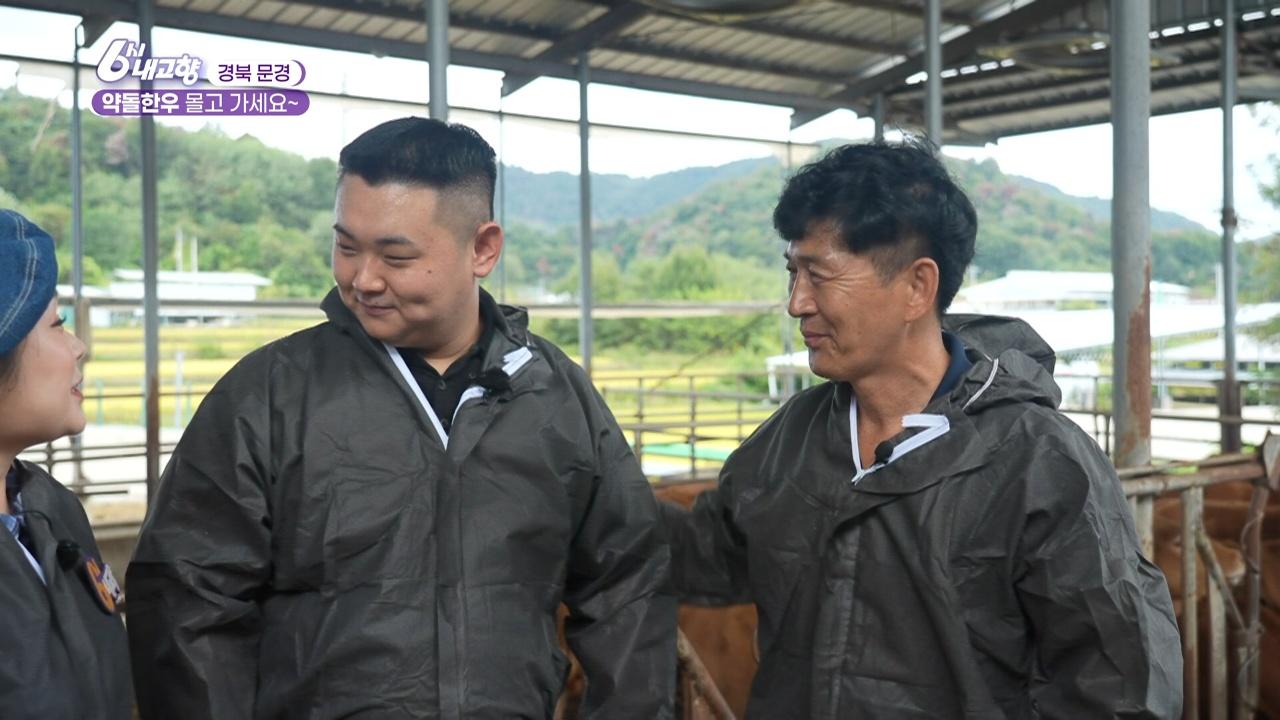 8633회