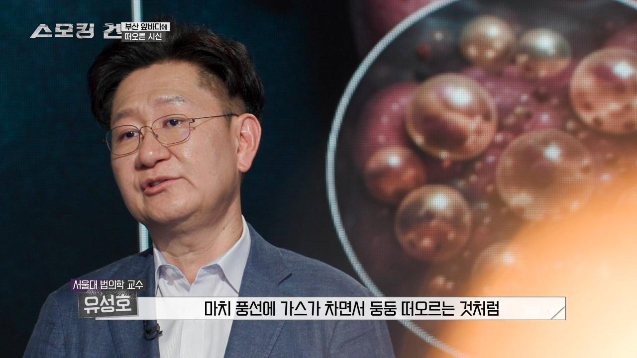 스모킹 건 : 159회