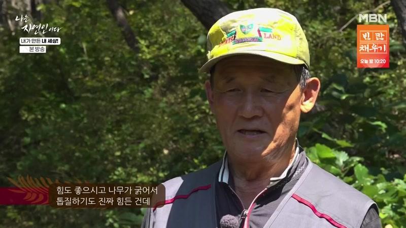 730회