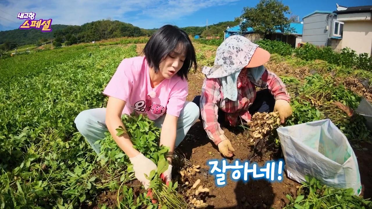 2305회