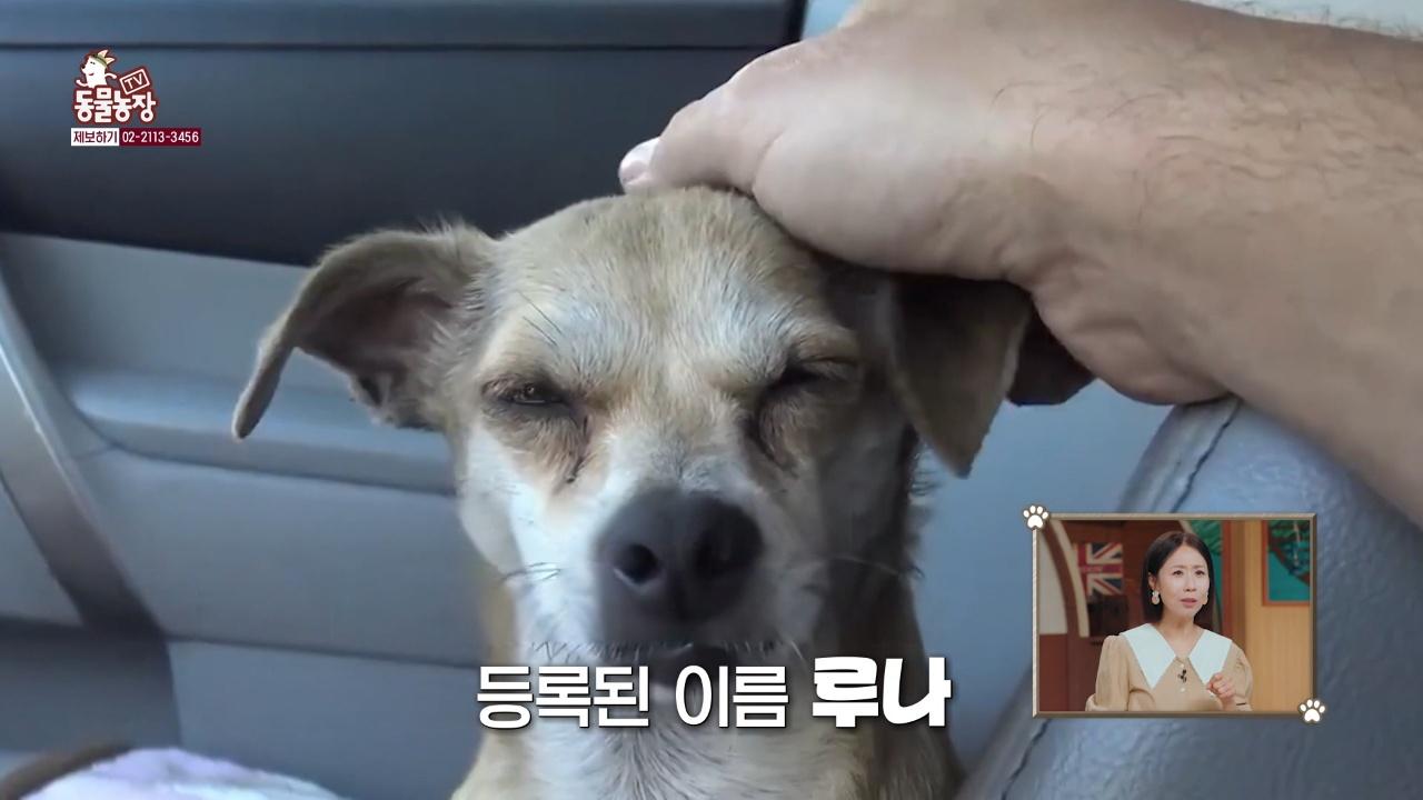 1292회
