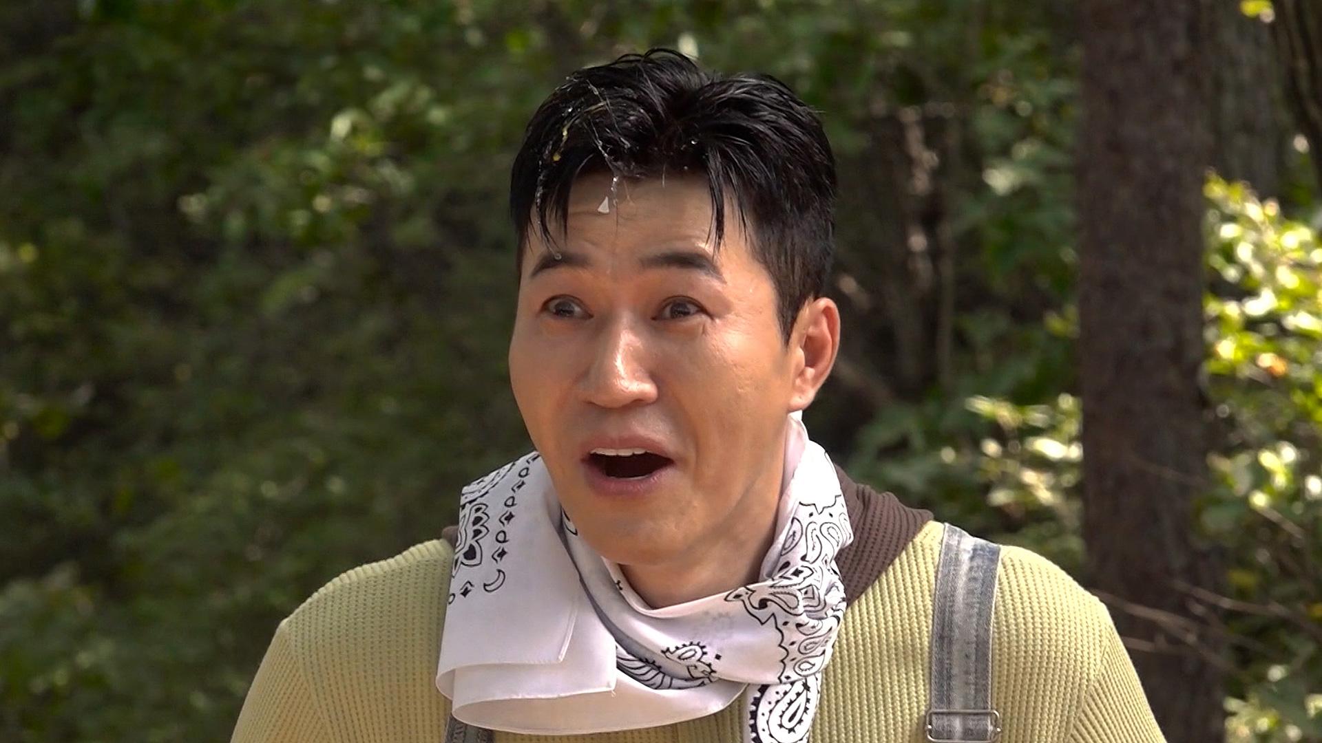 345회