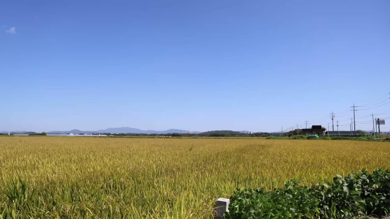 1235회