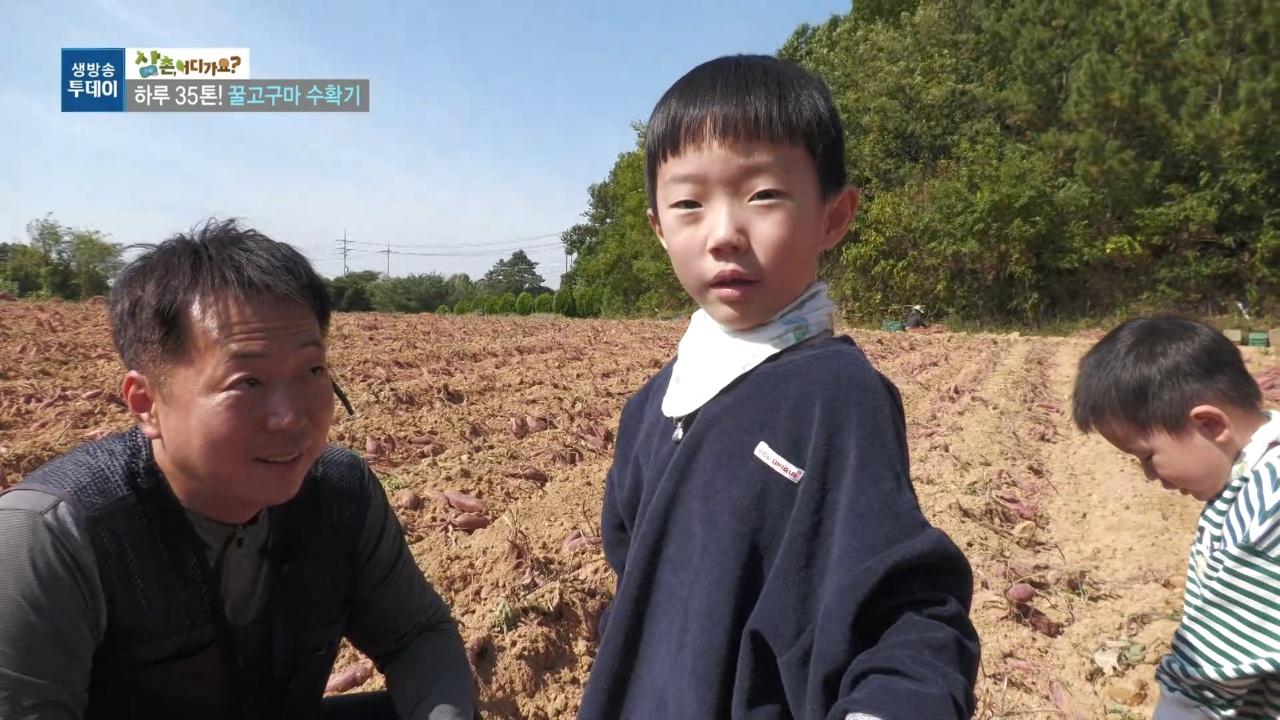 4112회