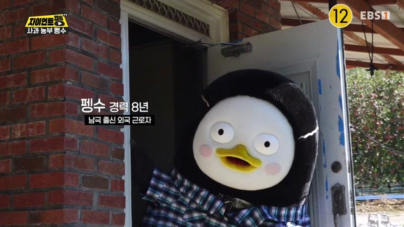 471회