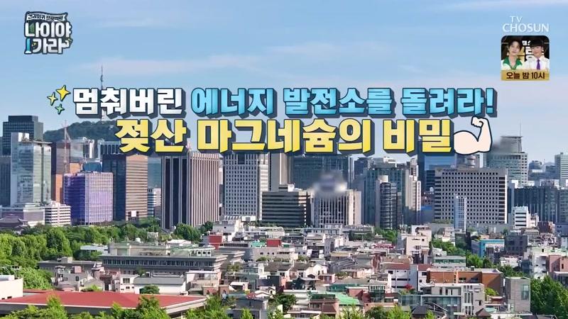 59회