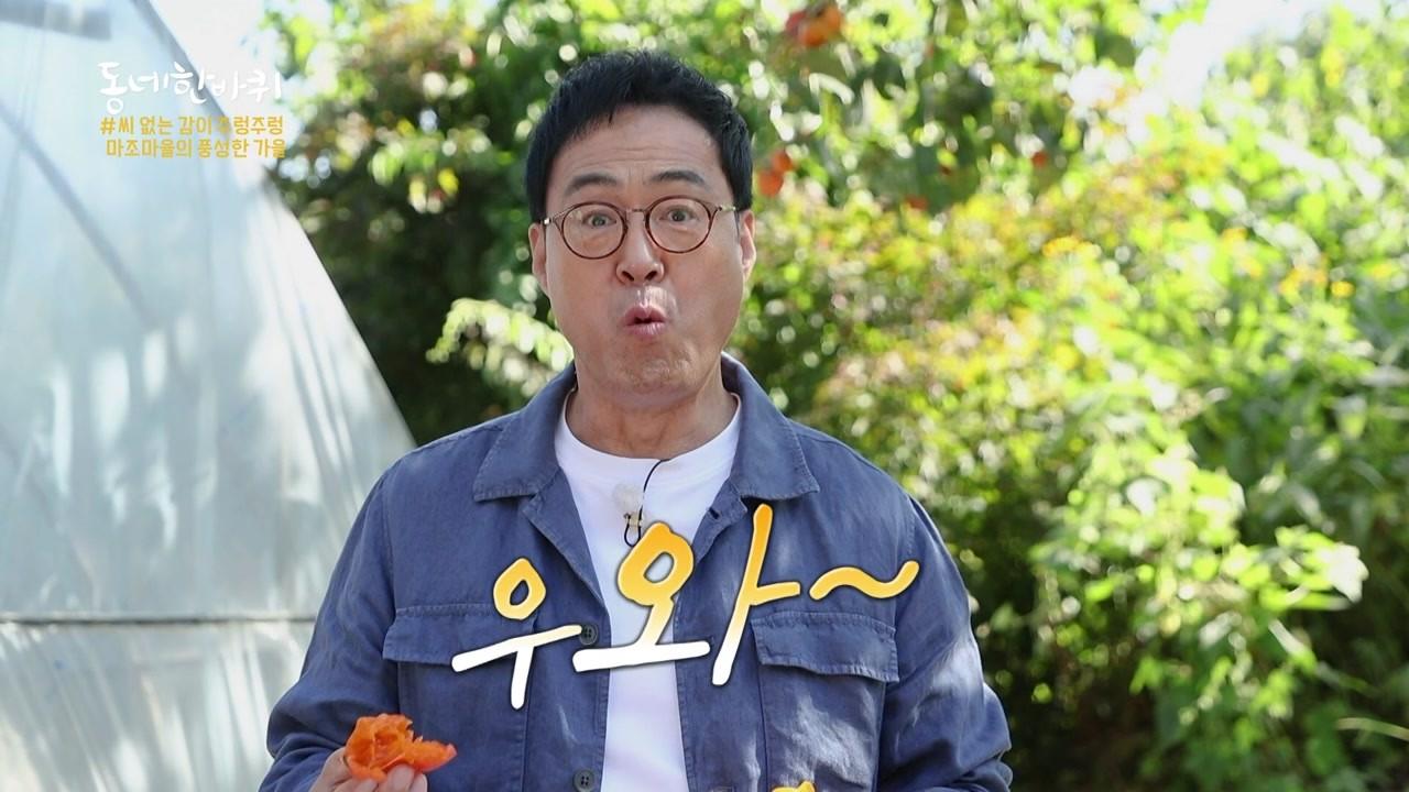 391회