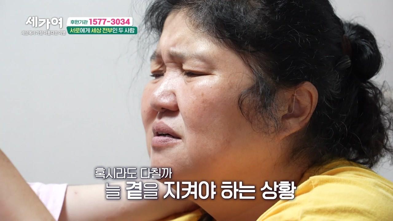 1236회